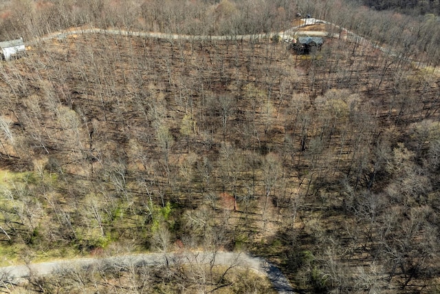 0 Shoreside Dr, Smithville, TN 37166 - photo 2