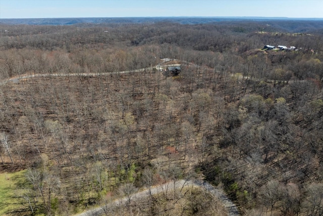 0 Shoreside Dr, Smithville, TN 37166 - photo 6