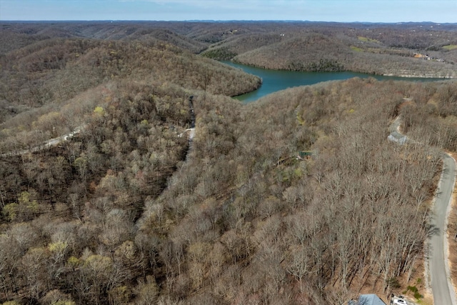 0 Shoreside Dr, Smithville, TN 37166 - photo 1