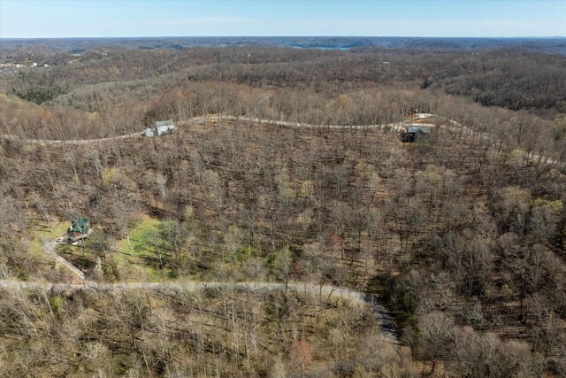 0 Shoreside Dr, Smithville, TN 37166 - photo 4