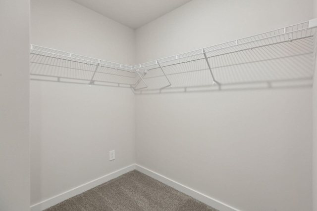 4220 Skyridge Dr, Nashville, TN 37207 - spacious closet with dark carpet