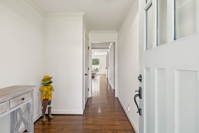 4417 Prescott Rd, Nashville, TN 37204 - photo 4