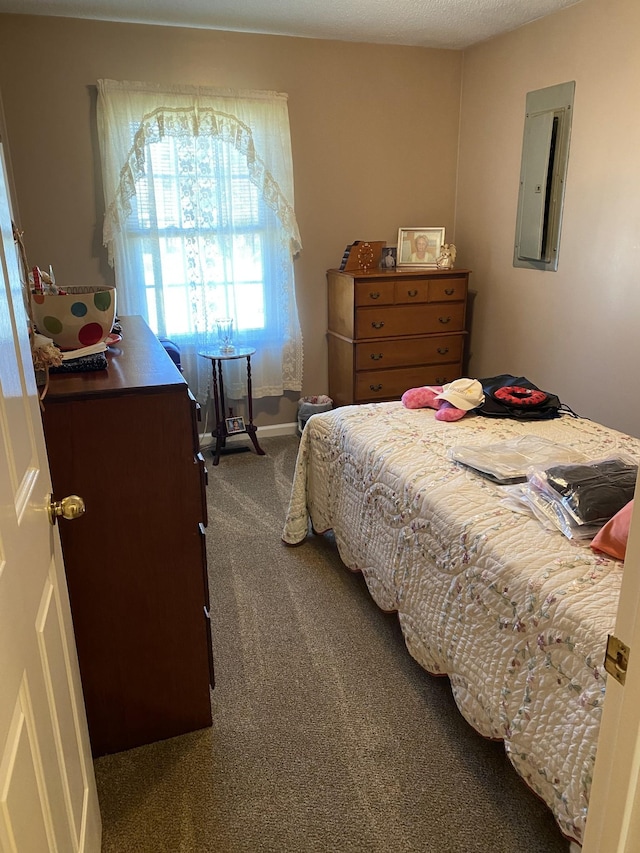 1306 Mcmahan St, Manchester, TN 37355 - bedroom featuring carpet and electric panel
