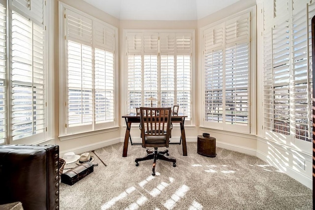 908 Plantation Blvd, Gallatin, TN 37066 - office area with a wealth of natural light, baseboards, and carpet floors