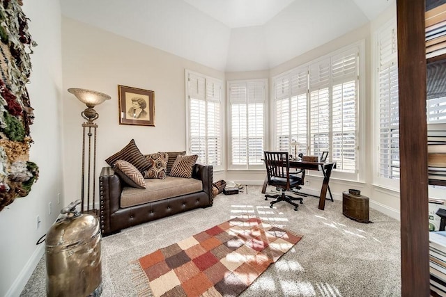 908 Plantation Blvd, Gallatin, TN 37066 - office featuring carpet and baseboards