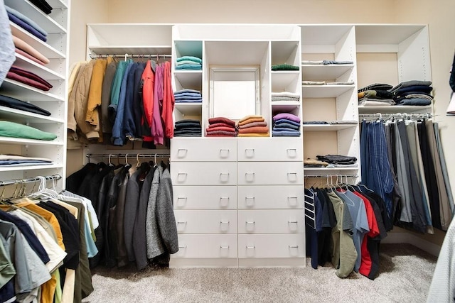 908 Plantation Blvd, Gallatin, TN 37066 - spacious closet with carpet floors