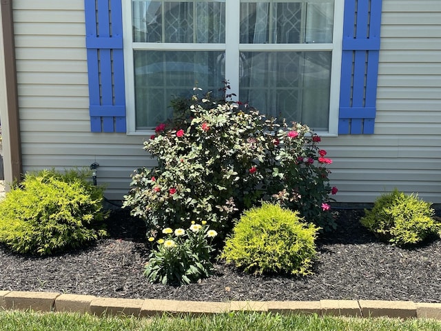 568 Tracy Ln, Clarksville, TN 37040 - exterior view
