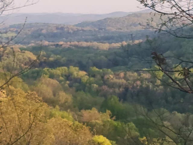 view of mountain feature with a wooded view