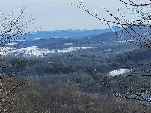 property view of mountains featuring a wooded view
