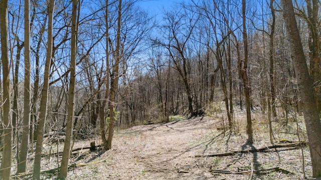 view of nature featuring a view of trees