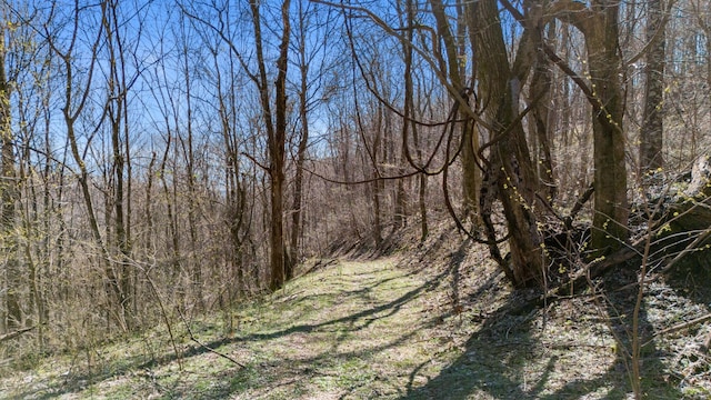view of local wilderness with a wooded view
