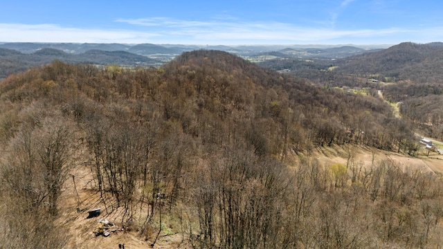 view of mountain feature featuring a view of trees