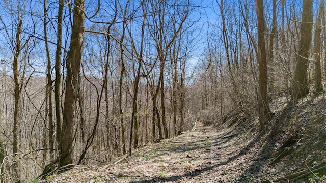 view of nature featuring a forest view