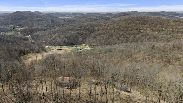 birds eye view of property with a mountain view, a rural view, and a wooded view
