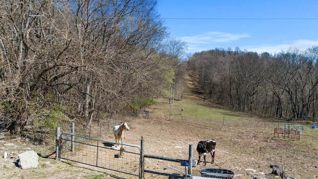 view of yard with fence, a gate, and a rural view