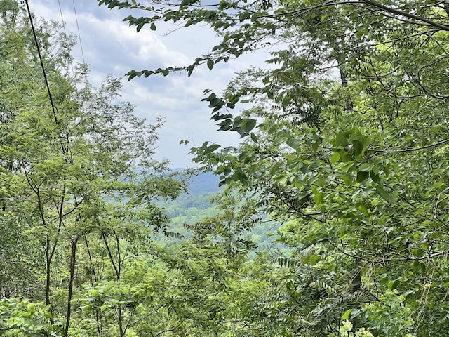 view of local wilderness featuring a view of trees