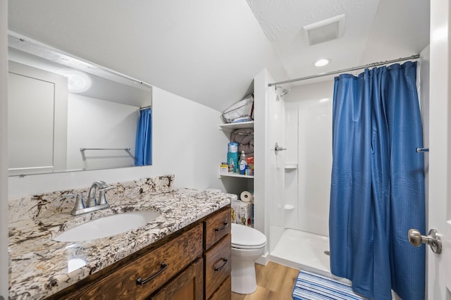 744 Dobbins Pike, Gallatin, TN 37066 - bathroom with toilet, vanity, wood finished floors, a shower with curtain, and vaulted ceiling