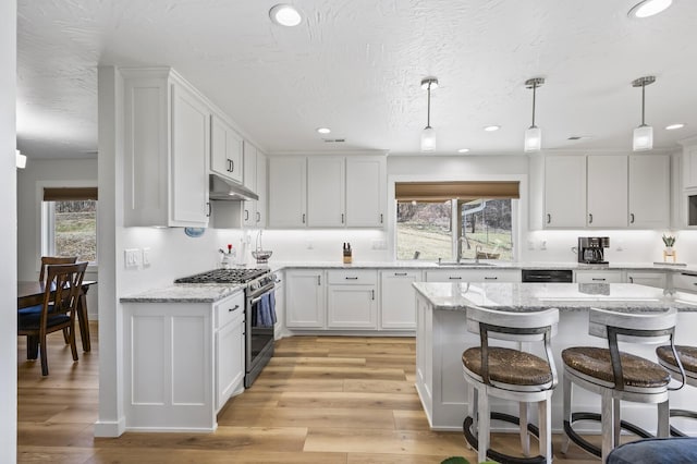 744 Dobbins Pike, Gallatin, TN 37066 - kitchen featuring stainless steel range with gas stovetop, under cabinet range hood, a sink, plenty of natural light, and recessed lighting
