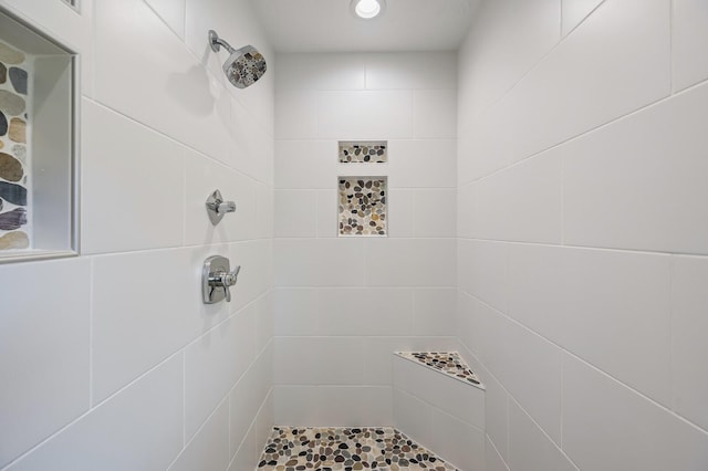 744 Dobbins Pike, Gallatin, TN 37066 - full bathroom featuring tiled shower