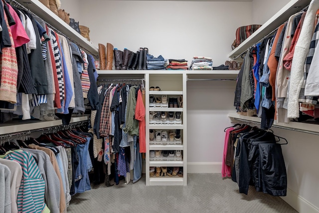 209 Gilchrist S Cir, Nolensville, TN 37135 - walk in closet with carpet flooring