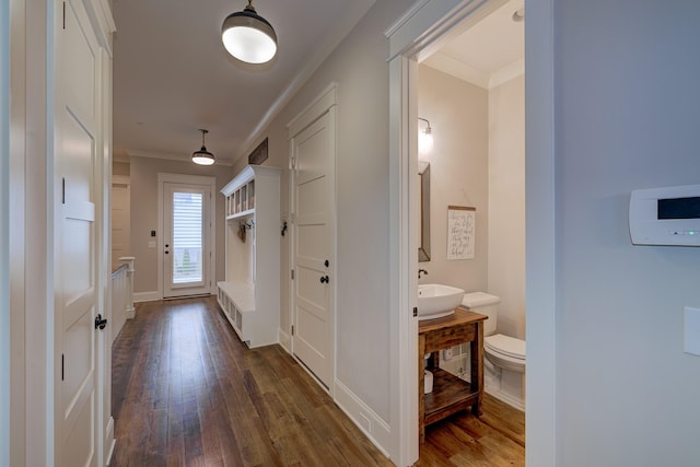 209 Gilchrist S Cir, Nolensville, TN 37135 - corridor with ornamental molding, dark wood-style flooring, a sink, and baseboards