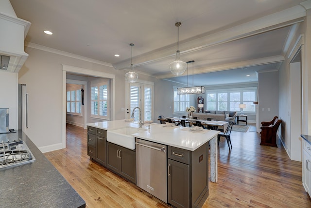 209 Gilchrist S Cir, Nolensville, TN 37135 - kitchen with stainless steel appliances, a sink, ornamental molding, light wood-type flooring, and open floor plan