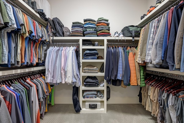 209 Gilchrist S Cir, Nolensville, TN 37135 - walk in closet featuring carpet
