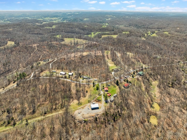 3736 Mobleys Cut Rd, Thompsons Station, TN 37179 - photo 38