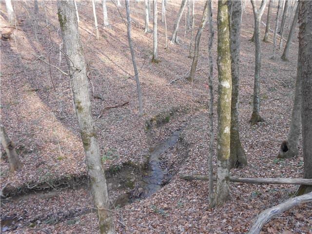 103 Morris Rd, Westmoreland, TN 37186 - photo 9
