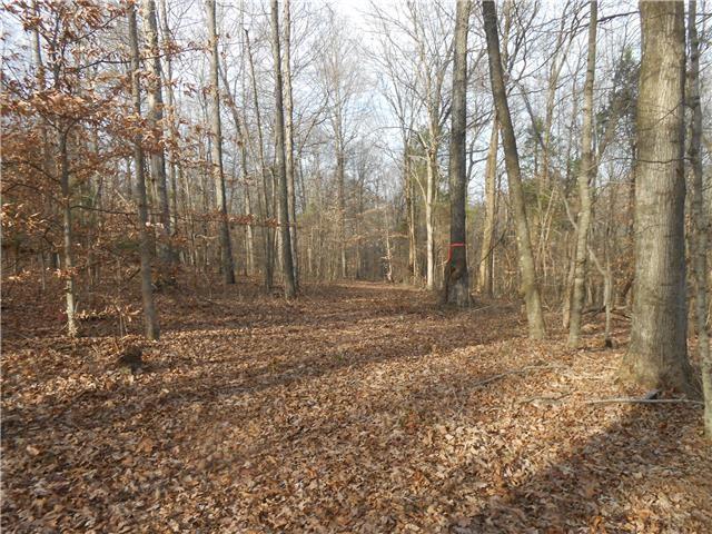 103 Morris Rd, Westmoreland, TN 37186 - photo 8