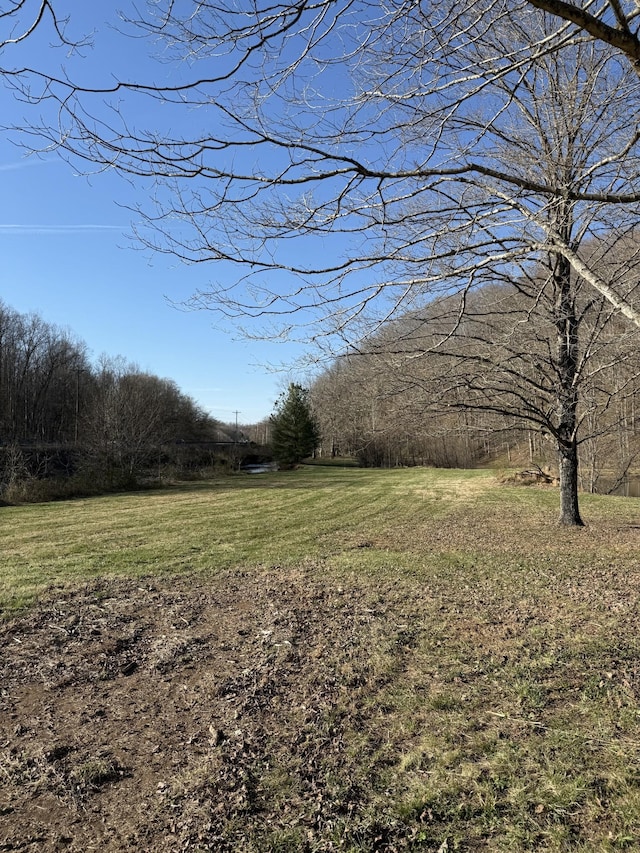 103 Morris Rd, Westmoreland, TN 37186 - photo 5