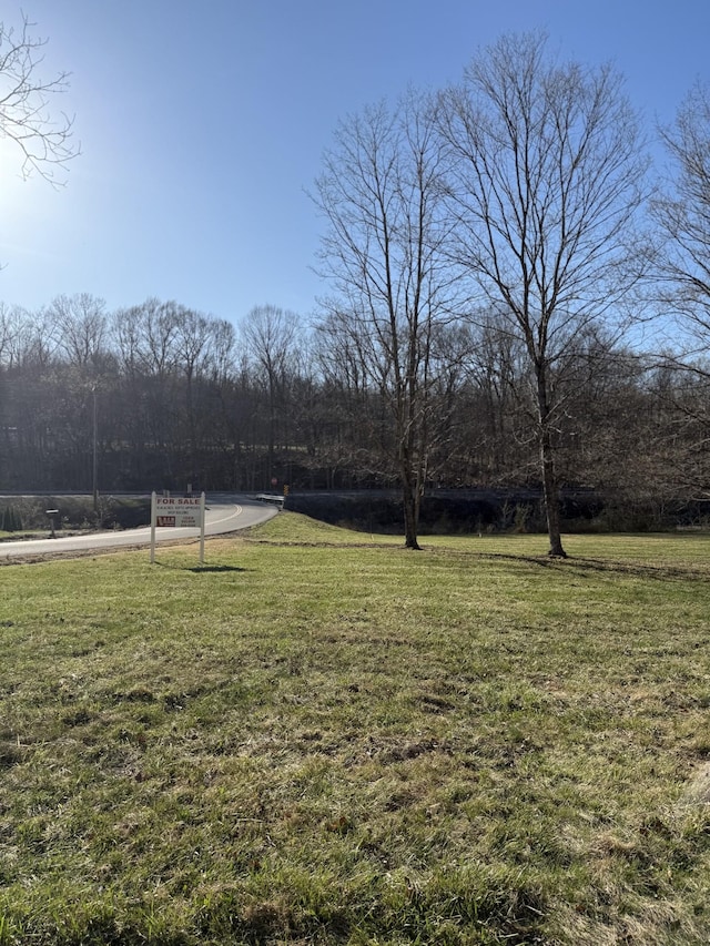 103 Morris Rd, Westmoreland, TN 37186 - photo 6