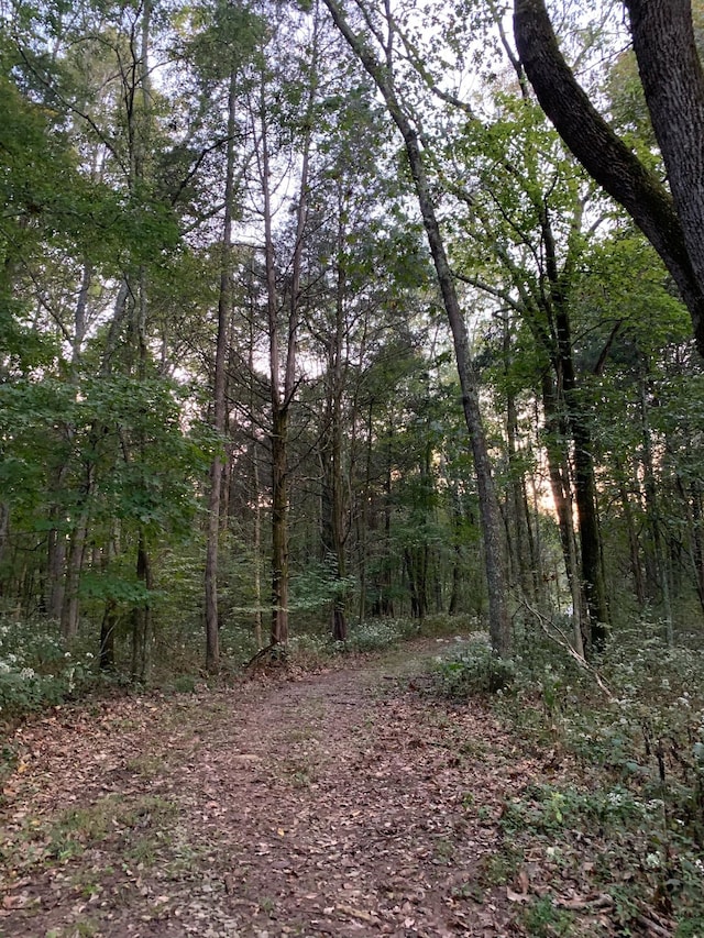1945 Mann Rd, Lebanon, TN 37087 - view of woods