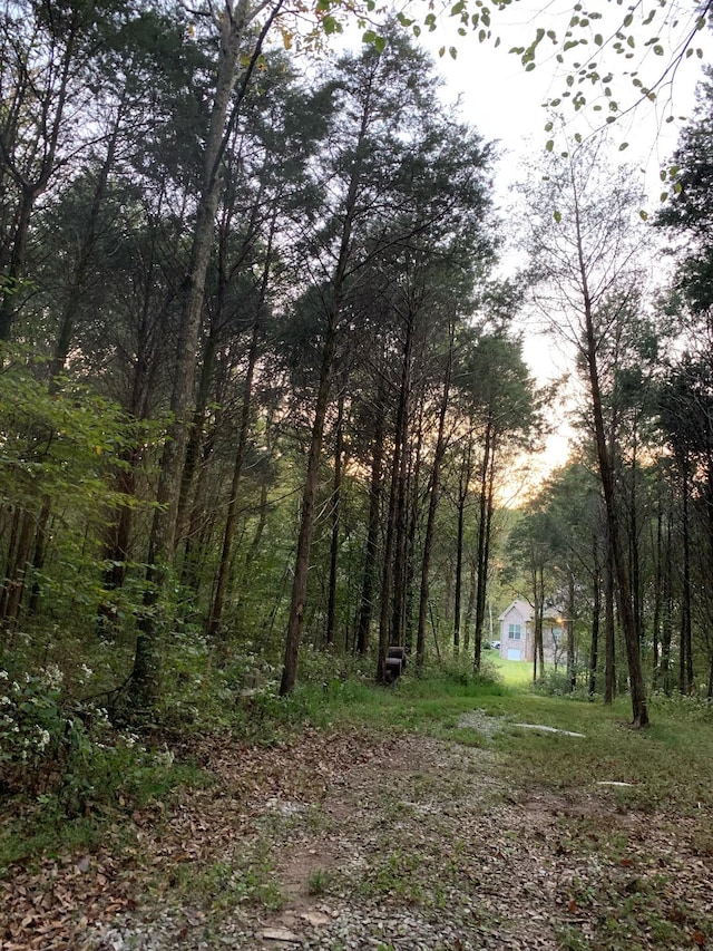 1945 Mann Rd, Lebanon, TN 37087 - view of wooded area