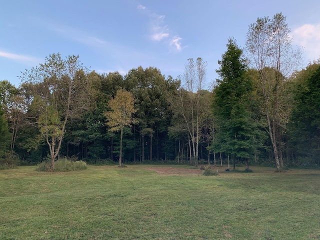 1945 Mann Rd, Lebanon, TN 37087 - view of grassy yard featuring a wooded view