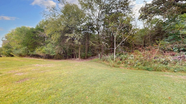 1945 Mann Rd, Lebanon, TN 37087 - view of green lawn