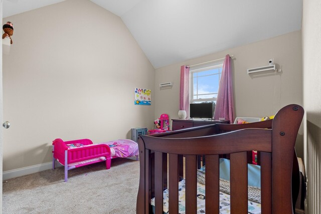 1113 Black Oak Cir, Clarksville, TN 37042 - photo 30