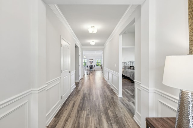 hallway featuring a decorative wall, wainscoting, dark wood-type flooring, and ornamental molding