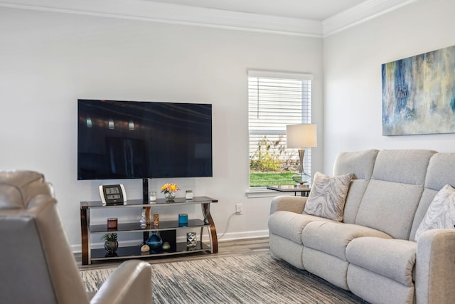 living area featuring crown molding, baseboards, and wood finished floors