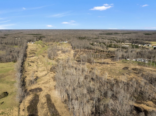 drone / aerial view featuring a rural view