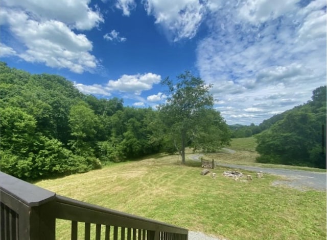 179 Puncheon Camp Ln, Bell Buckle, TN 37020 - photo 26