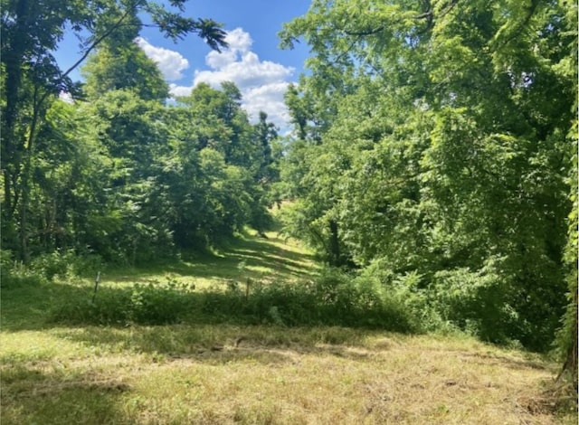 179 Puncheon Camp Ln, Bell Buckle, TN 37020 - photo 36