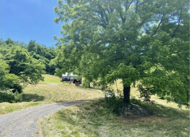 179 Puncheon Camp Ln, Bell Buckle, TN 37020 - photo 28