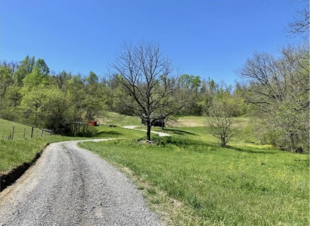 179 Puncheon Camp Ln, Bell Buckle, TN 37020 - photo 8