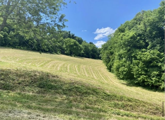 179 Puncheon Camp Ln, Bell Buckle, TN 37020 - photo 34