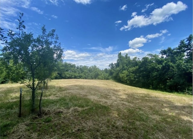 179 Puncheon Camp Ln, Bell Buckle, TN 37020 - photo 40