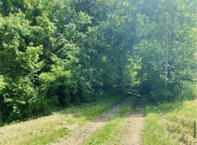179 Puncheon Camp Ln, Bell Buckle, TN 37020 - photo 30