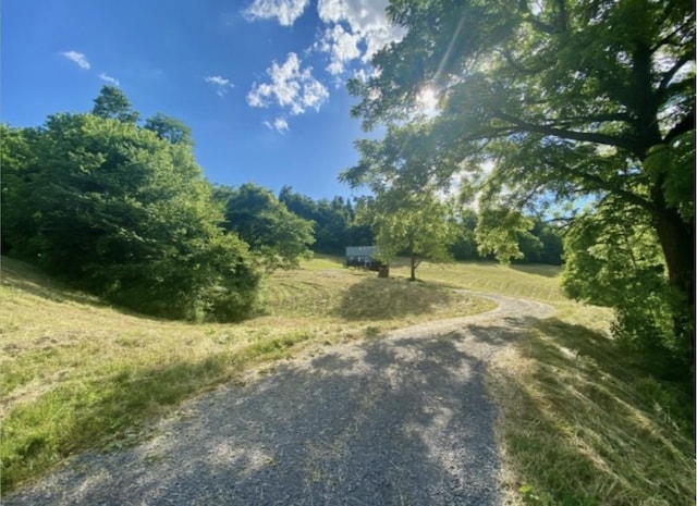 179 Puncheon Camp Ln, Bell Buckle, TN 37020 - photo 57