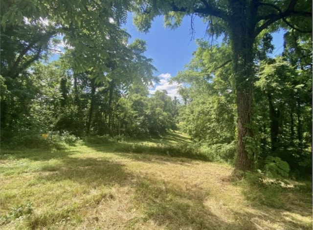179 Puncheon Camp Ln, Bell Buckle, TN 37020 - photo 39