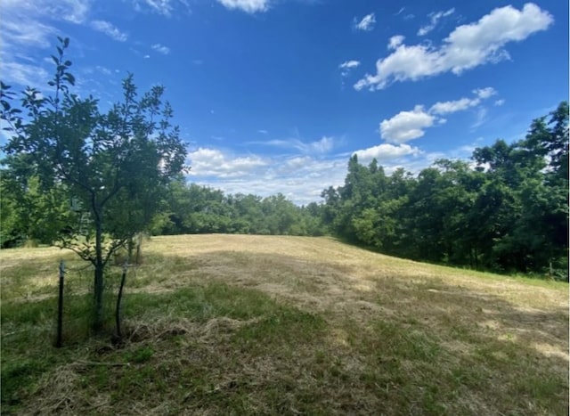 179 Puncheon Camp Ln, Bell Buckle, TN 37020 - photo 51